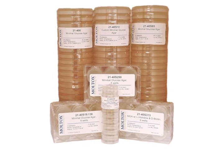 Minimal Glucose Agars