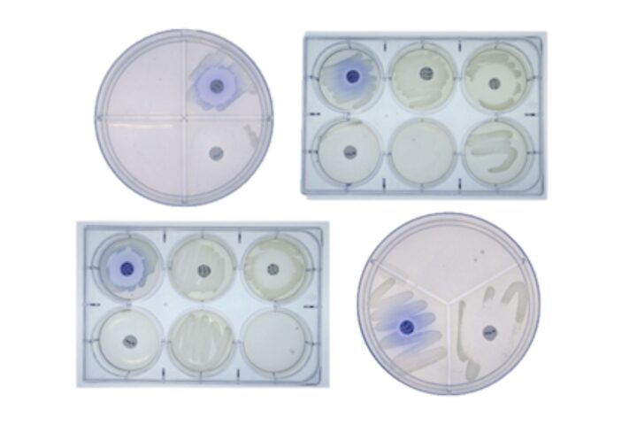 Phenotype & Growth Media