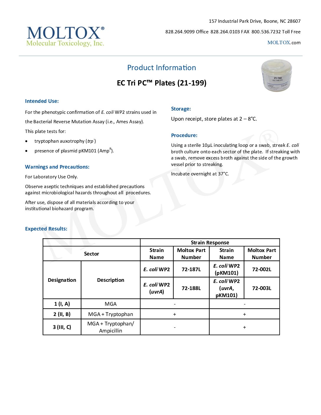 E. coli WP2 strains